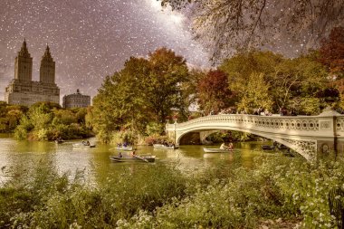 Central Park ve Manhattan Gökdelenleri yıldızlı bir gecede, New York City - ABD.