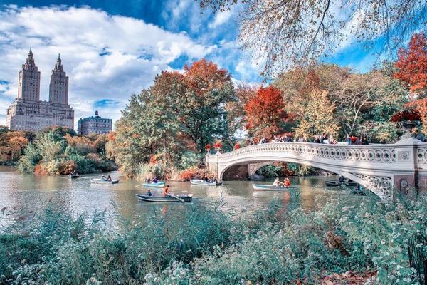 ニューヨーク市 2015年10月 美しい秋の日にマンハッタンの中央公園の葉と弓の橋 — ストック写真