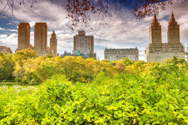 Amazing colors of Central Park and surrounding skyscrapers during foliage season, Manhattan-
