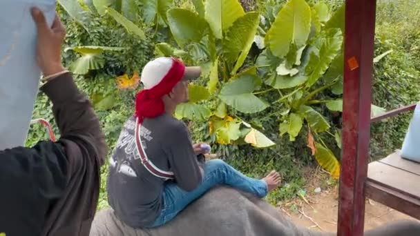 ПЮКЕТ, ТАЙЛАНД - ДЕКАБРЬ 2019: Туристы наслаждаются знаменитой поездкой на слонах в лесу — стоковое видео