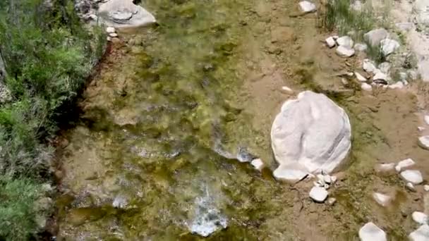 Zion National Park Creek, Estados Unidos — Vídeo de stock