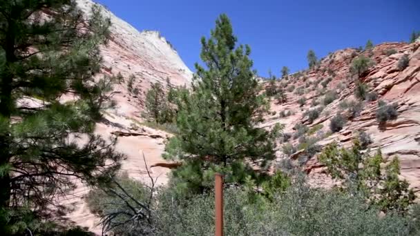 Mountains of Zion National Park, États-Unis Ralenti — Video