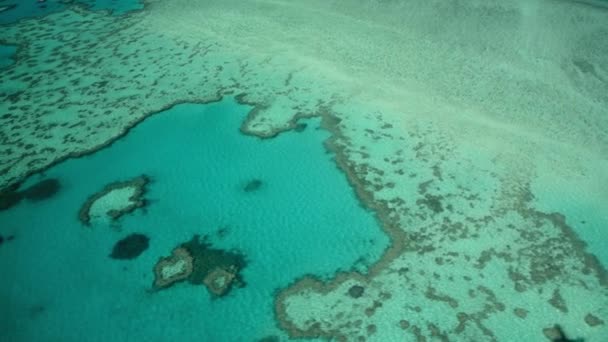 Wielka Rafa Koralowa widziana z samolotu. Piękne kolory oceanu, widok z lotu ptaka. Zwolniony ruch — Wideo stockowe