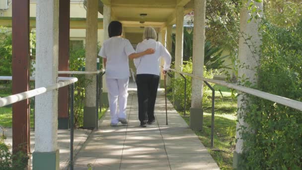 Asiatico dottore aiutare caucasico anziano donna con walker in il giardino — Video Stock