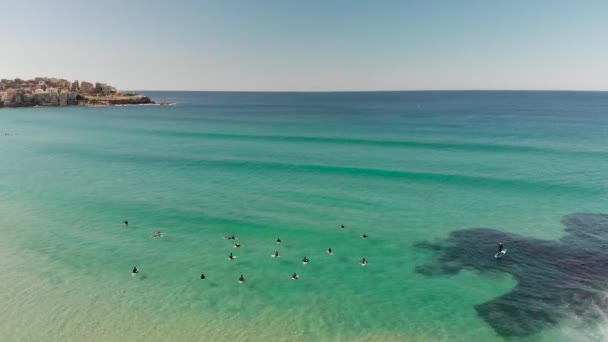 Vista aérea de Bondi Beach surfistas de drone — Vídeo de Stock