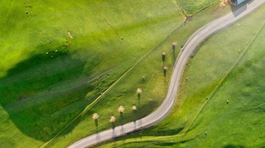 Bahar mevsiminde renkli Yeni Zelanda kırsalının hava manzarası.