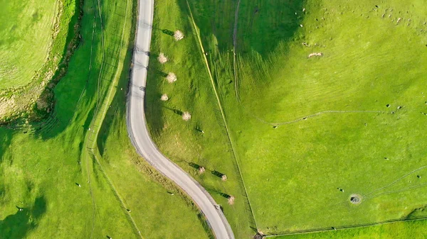Luftaufnahme Der Farbenfrohen Landschaft Neuseelands Frühling — Stockfoto