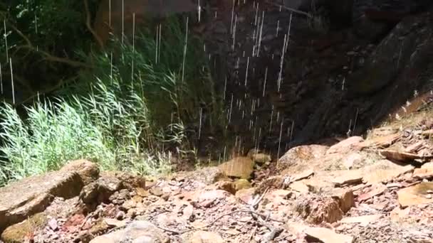 Waterfalls inside Zion National Park in summer season, USA — Stock Video