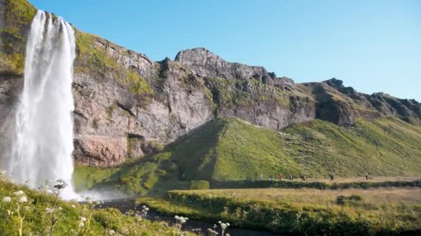 Seljalandsfoss Cascate e montagne nella stagione estiva, Islanda — Video Stock