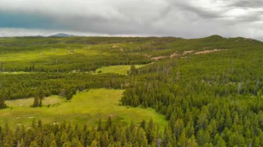 Yellowstone Ormanı yaz mevsiminde panoramik hava manzarası, Wyoming, ABD.