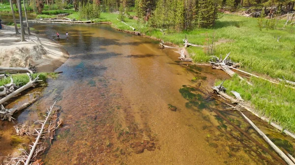 Bosque Yellowstone Vista Aérea Panorámica Del Río Temporada Verano Wyoming —  Fotos de Stock