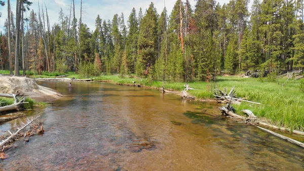 Floresta Yellowstone Vista Aérea Panorâmica Rio Temporada Verão Wyoming Eua — Fotografia de Stock