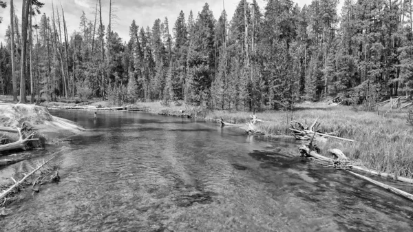 Yellowstone Ormanı Nehir Panoramik Hava Manzarası Yaz Mevsiminde Wyoming Abd — Stok fotoğraf