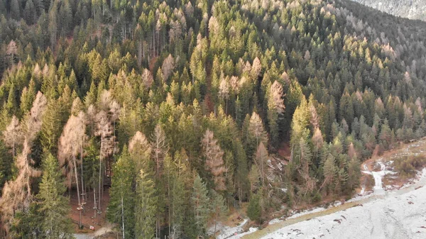 Auronzo Valley Och Skidbackar Vintertid Italienska Alperna — Stockfoto