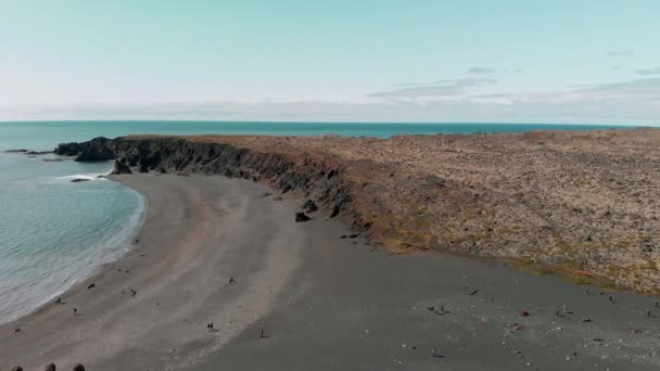 Incredibile vista aerea della costa di Djupalonssandur, Islanda nella stagione estiva — Video Stock