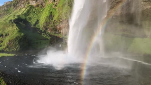 Seljalandsfoss Wasserfälle in der Sommersaison, Island — Stockvideo