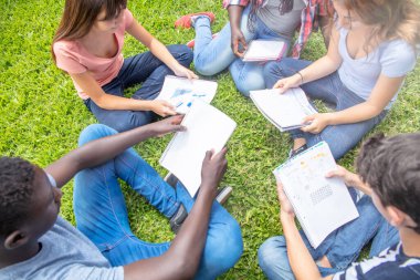 Çok ırklı bir grup öğrenci dışarıda bir parkta ders çalışıyor..