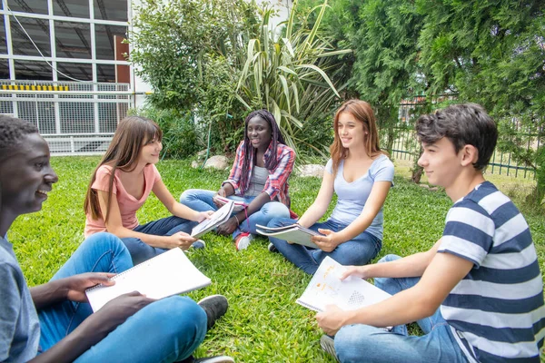 Grupo Estudantes Multi Étnicos Sentados Livre Estudando Parque — Fotografia de Stock