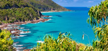 Angahook-Lorne Eyalet Parkı Büyük Okyanus Yolu, Avustralya.