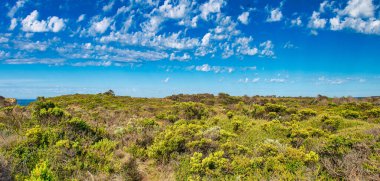 Büyük Okyanus Yolu boyunca uzanan Ard Gölü, Avustralya. Güzel kırsal.