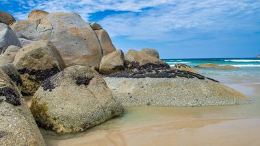 Whisky Bay in the Bass Boğazında, Wilsons Promontory Ulusal Parkı.