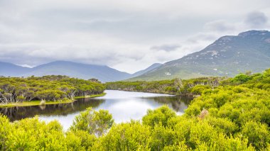 Tsunami Nehri, Wilsons Promontory Ulusal Parkı.