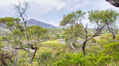Tsunami Nehri, Wilsons Promontory Ulusal Parkı.