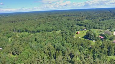 Letonya 'nın Rozkalni kıyı şeridinin havadan görüntüsü.