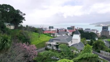 Güneşli bir günde Yeni Zelanda 'dan Wellington hava manzarası