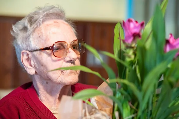Oudere Vrouw Die Thuis Voor Bloemen Zorgt — Stockfoto