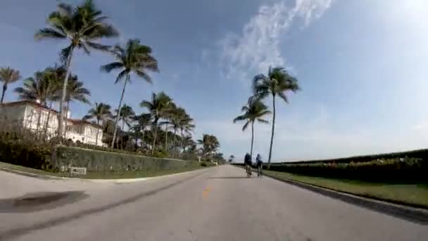 Trafik längs Palms strandlinje, tidsförskjutning — Stockvideo
