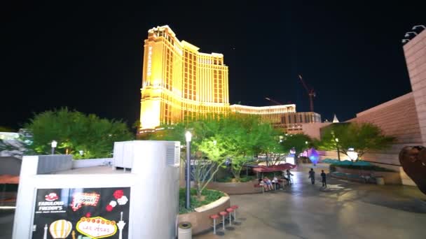 LAS VEGAS, NV - JUNE 2019: Exterior of Palace casino at night — Stok video