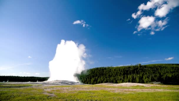 Parco Nazionale di Yellowstone, Wyoming. Vecchio fedele geyser — Video Stock