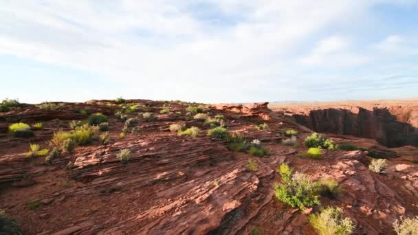 Fantastisk antenn utsikt över Horseshoe Bend landskap under sommarsäsongen, USA — Stockvideo