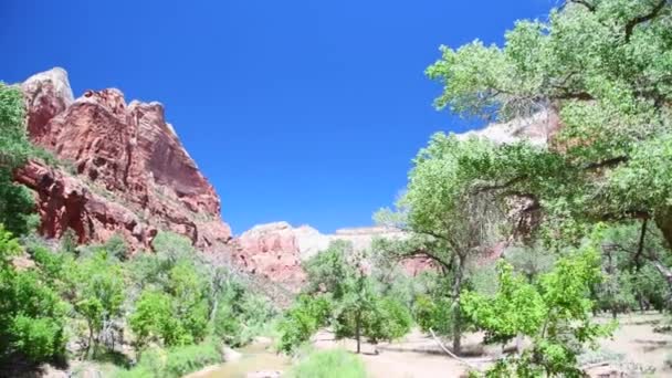 Zion Nationalpark Landschaft in der Sommersaison — Stockvideo