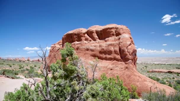 Arches National Park in summer season, Utah landscape — Stockvideo