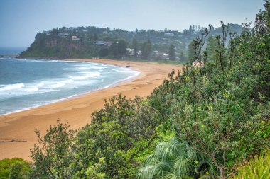 Sydney, Avustralya 'nın güzel kıyı şeridi.