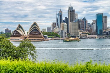 SYDNEY - Kasım 2015: Ünlü Opera Binası bir şehir simgesidir.