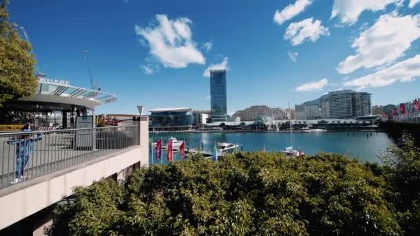 SYDNEY, RAKOUSKO - AUGUST 2018: Darling Harbour panoramatický výhled na krásný den. Zpomalený pohyb — Stock video