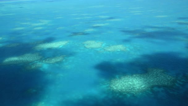 La Gran Barrera de Coral vista desde el avión. Hermosos colores del océano, vista aérea. Movimiento lento — Vídeos de Stock