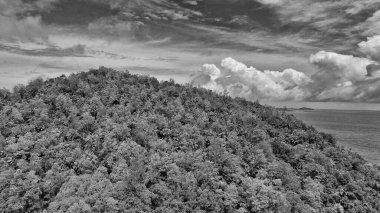 Seyşeller Sahili, güzel güneşli bir günde İHA 'dan hava manzarası.