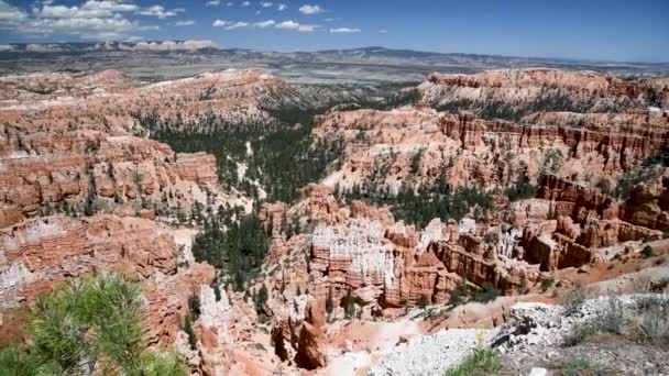 Montanhas Bryce Canyon em temporada de verão — Vídeo de Stock