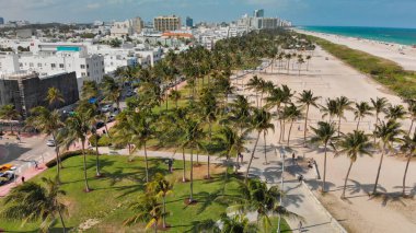 Güzel MIami Beach palmiyelerinin hava manzarası insansız hava aracı bakış açısından, Florida.
