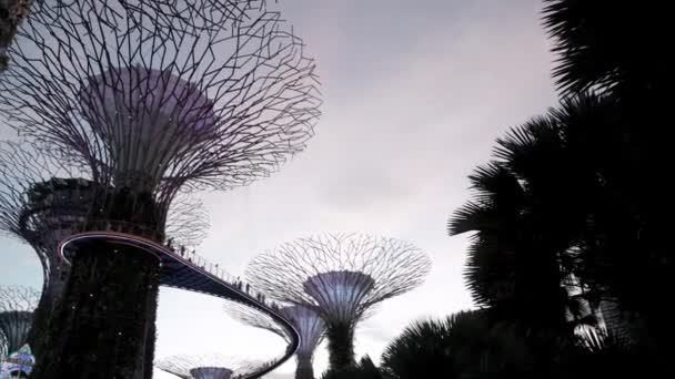 SINGAPORE - JANUARI 3, 2020: Tuinen aan de baai met de Super Bomen 's nachts — Stockvideo