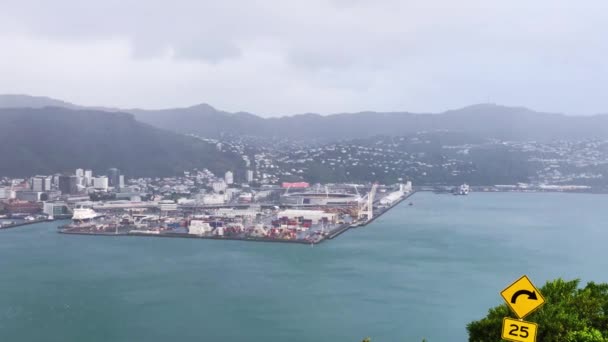 Wellington vista aérea da colina da cidade, Nova Zelândia — Vídeo de Stock