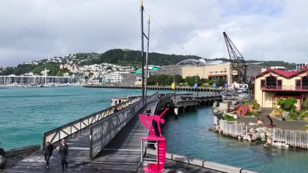 WELLINGTON, NEW ZEALAND - SEPTEMBER 6, 2018: Міські будівлі вздовж міського порту в сонячний день — стокове відео