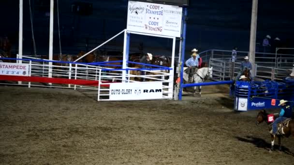 CODY, WY - JULHO 2019: Cowboy persegue vaca com corda no parque de rodeio — Vídeo de Stock