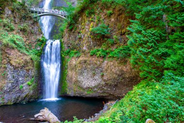 Multnomah Şelalesi Yazın, Columbia Nehri Boğazı, Oregon, Pasifik Kuzeybatı.