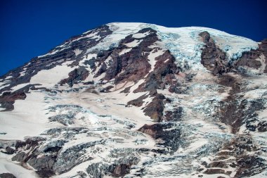 Harika bir yaz gününde, karlı Rainier Dağı..