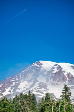 Harika bir yaz gününde, karlı Rainier Dağı..